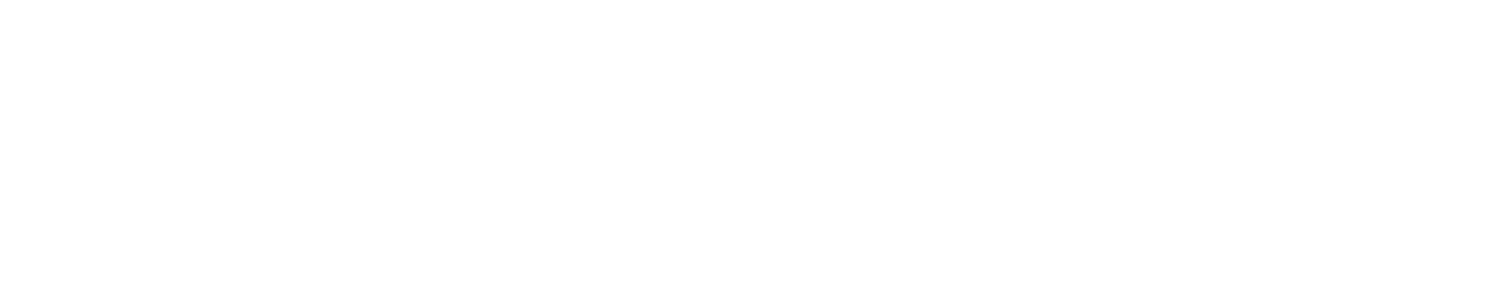 MagnusMinds IT Solution